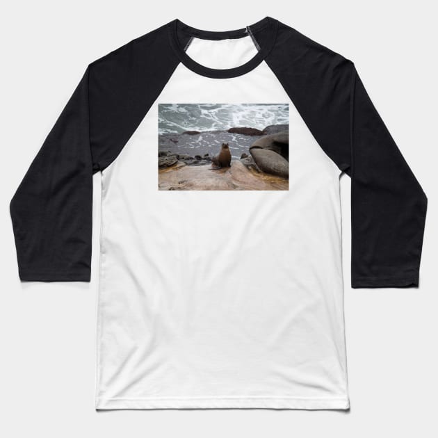 Sea Lion Love Baseball T-Shirt by Jacquelie